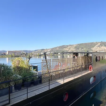 Peniche Hisseo Vue Rhone, Clim, Terrasse
